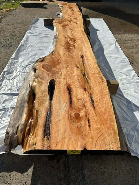 Wood Slabs - Suitable for River Table, Tabletop, Coffee Table, Bar Top etc