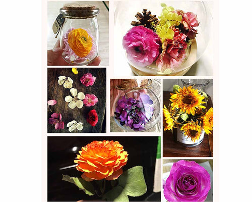 Silica Gel Flower Drying Crystals Indicator 1000g