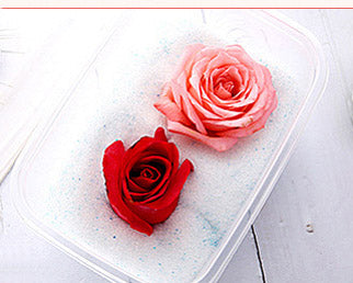 Silica Gel Flower Drying Crystals Indicator 1000g