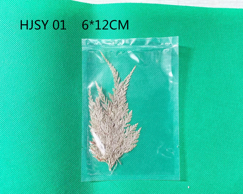 Real Dried Leaves - Sealed in Pocket Pack