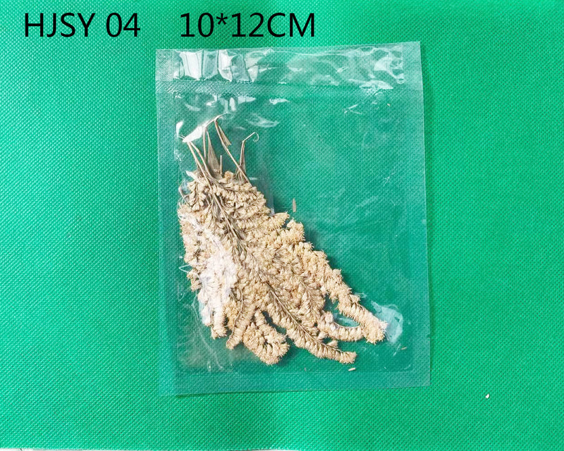 Real Dried Leaves - Sealed in Pocket Pack