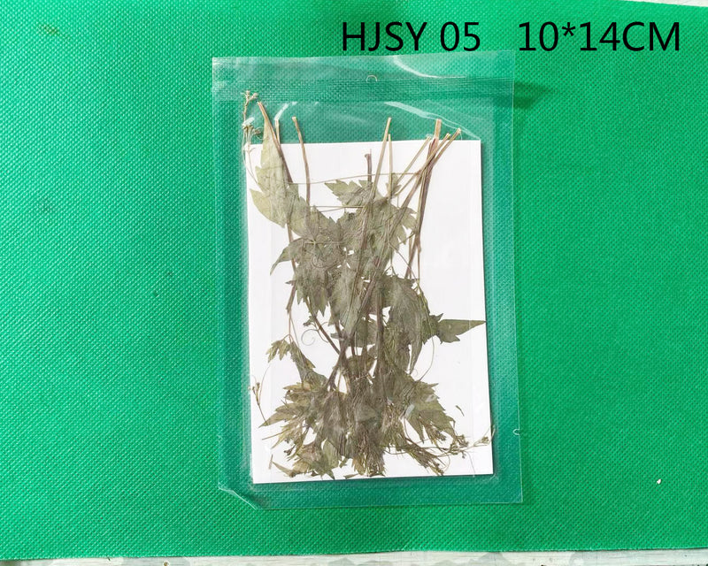 Real Dried Leaves - Sealed in Pocket Pack