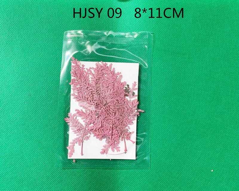 Real Dried Leaves - Sealed in Pocket Pack