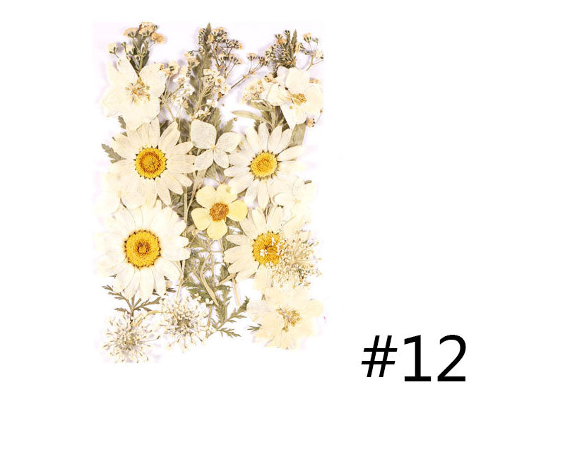 Real Dried Flower - Sealed in Pocket Pack