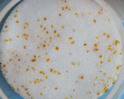 Silica Gel Flower Drying Crystals Indicator 1000g